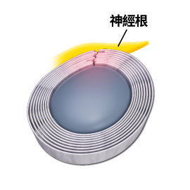 herniated disc retructed